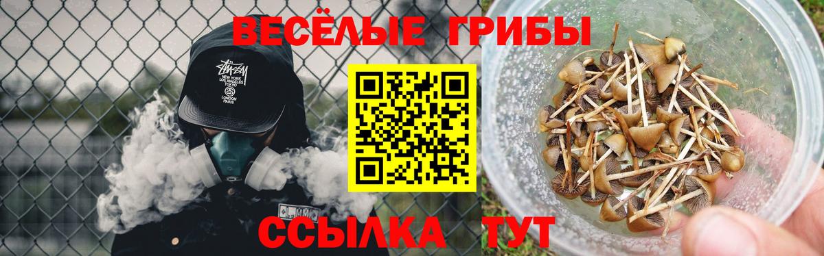 Псилоцибиновые грибы Psilocybine cubensis  Вход с VPN  Нижнеудинск  наркота  Галлюциногенные грибы Cubensis 